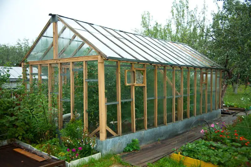 greenhouse-revews best greenhouse reviews