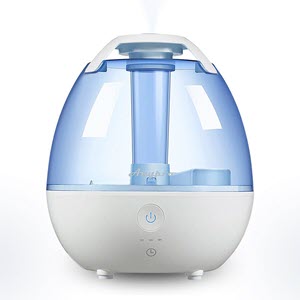 Anypro Cool Mist Humidifier