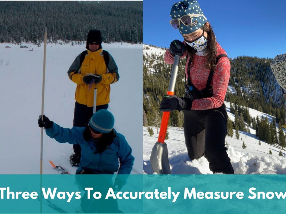 How Does a Rain Gauge Measure Rainfall The Weather Station