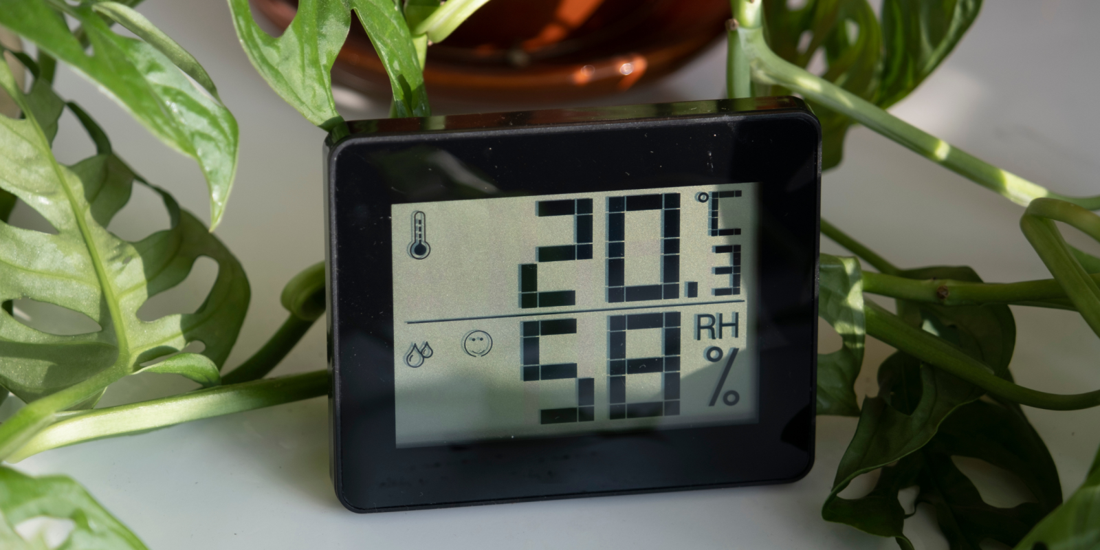 Best Indoor thermometer Review 2022